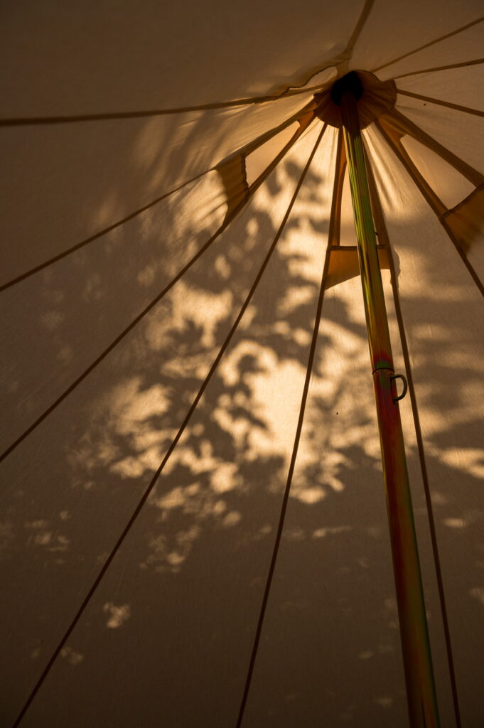 Morning sun on a bell tent at a wedding